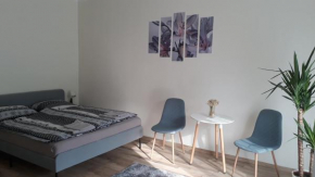 Világos, kellemes lakás, jó közlekedéssel Budapest